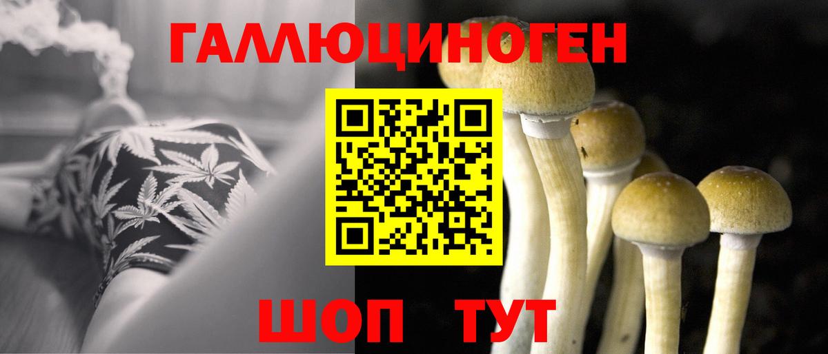 Комсомольск-на-Амуре  купить закладку  Вход с VPN  Галлюциногенные грибы Cubensis 